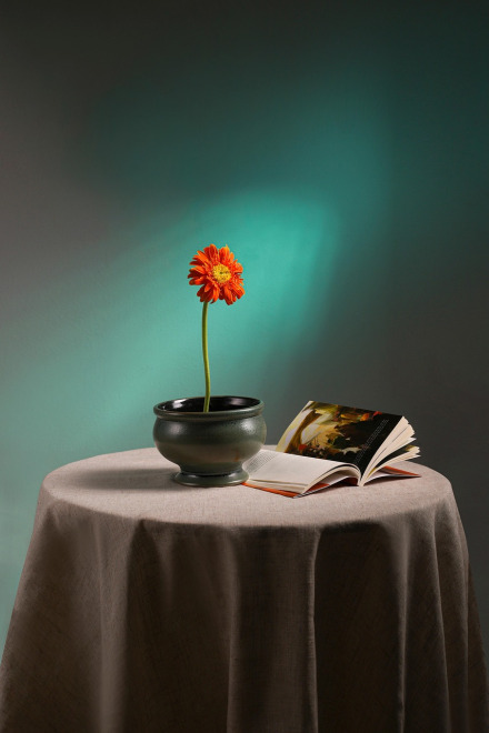 home goods decor